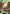 Sinon (073) (R*) (UEX06BT/SAO-2-073) - UEX06BT Sword Art Online Vol2 Foil