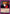 Acting Like That, He's Less an Idiot and More of a Brat (UEPR/EVA-1-066) - UE15BT Evangelion New Theatrical Edition Release Event Cards