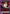 Mari Makinami Illustrious (054) (Box Topper Foil) (UE15BT/EVA-1-054) - UE15BT Evangelion New Theatrical Edition Foil