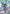 Freedom Gundam (GD03-070) (LR+) (GD03-070) - Steel Requiem Holofoil