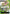 Roronoa Zoro - OP12-020 [Serial Number] (OP12-020) - One Piece Promotion Cards Foil