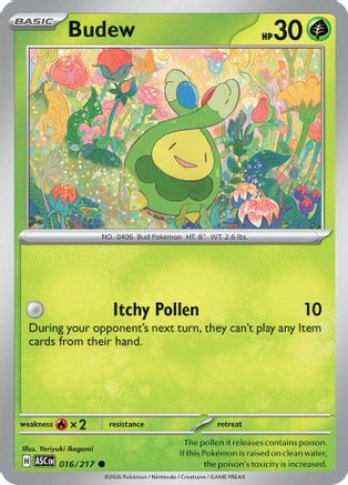 Budew (016/217) [ME Ascended Heroes] - ME: Ascended Heroes - Card Brawlers | Quebec | Canada |