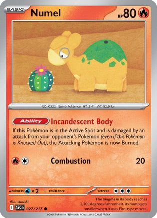 Numel (027/217) - Reverse Holofoil [ME Ascended Heroes] - ME: Ascended Heroes - Card Brawlers | Quebec | Canada |