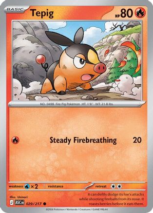 Tepig (029/null) [ME Ascended Heroes] - ME: Ascended Heroes - Card Brawlers | Quebec | Canada |