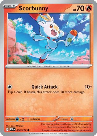 Scorbunny (036/217) [ME Ascended Heroes] - ME: Ascended Heroes - Card Brawlers | Quebec | Canada |