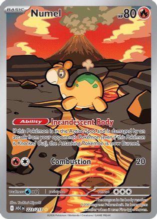 Numel (223/217) - Holofoil [ME Ascended Heroes] - ME: Ascended Heroes - Card Brawlers | Quebec | Canada |