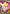 Mega Audino ex (253/217) - Holofoil [ME Ascended Heroes] - ME: Ascended Heroes - Card Brawlers | Quebec | Canada |