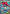 Mega Feraligatr ex (274/217) - Holofoil [ME Ascended Heroes] - ME: Ascended Heroes - Card Brawlers | Quebec | Canada |