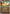 Charmander (Friend Ball) (020/null) - Reverse Holofoil [ME Ascended Heroes] - ME: Ascended Heroes - Card Brawlers | Quebec | Canada |