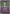 Ralts (Love Ball) (087/null) - Reverse Holofoil [ME Ascended Heroes] - ME: Ascended Heroes - Card Brawlers | Quebec | Canada |