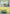 Erika's Bellsprout (Energy Symbol Pattern) (004/null) - Reverse Holofoil [ME Ascended Heroes] - ME: Ascended Heroes - Card Brawlers | Quebec | Canada |