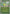 Erika's Victreebel (Energy Symbol Pattern) (006/null) - Reverse Holofoil [ME Ascended Heroes] - ME: Ascended Heroes - Card Brawlers | Quebec | Canada |