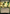 Sandstorm Salvager (Showcase) [Outlaws of Thunder Junction: The Big Score] - Magic: The Gathering - Card Brawlers | Quebec | Canada |