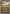 Charmander (Energy Symbol Pattern) (020/null) - Reverse Holofoil [ME Ascended Heroes] - ME: Ascended Heroes - Card Brawlers | Quebec | Canada |