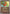 Ethan's Slugma (Energy Symbol Pattern) (023/null) - Reverse Holofoil [ME Ascended Heroes] - ME: Ascended Heroes - Card Brawlers | Quebec | Canada |