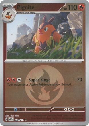 Pignite (Energy Symbol Pattern) (030/null) - Reverse Holofoil [ME Ascended Heroes] - ME: Ascended Heroes - Card Brawlers | Quebec | Canada |