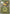 Pikachu (Energy Symbol Pattern) (055/null) - Reverse Holofoil [ME Ascended Heroes] - ME: Ascended Heroes - Card Brawlers | Quebec | Canada |
