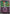 Ralts (Energy Symbol Pattern) (087/null) - Reverse Holofoil [ME Ascended Heroes] - ME: Ascended Heroes - Card Brawlers | Quebec | Canada |