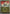 Pancham (Energy Symbol Pattern) (115/null) - Reverse Holofoil [ME Ascended Heroes] - ME: Ascended Heroes - Card Brawlers | Quebec | Canada |
