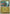 Rolycoly (Energy Symbol Pattern) (118/null) - Reverse Holofoil [ME Ascended Heroes] - ME: Ascended Heroes - Card Brawlers | Quebec | Canada |