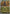 Carkol (Energy Symbol Pattern) (119/null) - Reverse Holofoil [ME Ascended Heroes] - ME: Ascended Heroes - Card Brawlers | Quebec | Canada |