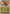 Coalossal (Energy Symbol Pattern) (120/null) - Reverse Holofoil [ME Ascended Heroes] - ME: Ascended Heroes - Card Brawlers | Quebec | Canada |