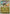 Okidogi (Energy Symbol Pattern) (122/null) - Reverse Holofoil [ME Ascended Heroes] - ME: Ascended Heroes - Card Brawlers | Quebec | Canada |