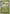Rayquaza (Energy Symbol Pattern) (153/null) - Reverse Holofoil [ME Ascended Heroes] - ME: Ascended Heroes - Card Brawlers | Quebec | Canada |