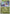 Noivern (Energy Symbol Pattern) (157/null) - Reverse Holofoil [ME Ascended Heroes] - ME: Ascended Heroes - Card Brawlers | Quebec | Canada |