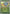 Terapagos (Energy Symbol Pattern) (178/null) - Reverse Holofoil [ME Ascended Heroes] - ME: Ascended Heroes - Card Brawlers | Quebec | Canada |
