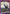 Takami Sazanami (UE16BT/KGR-1-024) - UE16BT KAGURABACHI