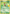 Treecko (76/109) (Jumbo Card) [First Partner Pack] - Pokémon - Card Brawlers | Quebec | Canada |