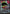 Dark Leo & Shredder (Showcase) (TMT-289) - Teenage Mutant Ninja Turtles Foil