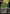 Heroes in a Half Shell (0096) (Borderless) (Surge Foil) (TMC-096) - Commander: Teenage Mutant Ninja Turtles Foil
