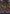 Waves of Aggression (Borderless) (PZA-013) - Teenage Mutant Ninja Turtles Eternal-Legal