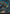 Ronin's Arsenal - Conqueror's Flail (Borderless) (PZA-015) - Teenage Mutant Ninja Turtles Eternal-Legal