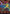 Leo's Katana - Sword of Sinew and Steel (Borderless) (PZA-018) - Teenage Mutant Ninja Turtles Eternal-Legal