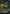 Undercity Sewers (Borderless) (PZA-020) - Teenage Mutant Ninja Turtles Eternal-Legal