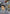 Resource (RP-021) (Mobile Suit Gundam: Hathaway's Flash) (RP-021) - Promotional Resource Tokens Holofoil