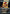April O'Neil, Live on the Scene (Borderless) (Surge Foil) (TMC-084) - Commander: Teenage Mutant Ninja Turtles Foil