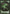 Ooze Token [Rise of the Eldrazi Tokens] - Magic: The Gathering - Card Brawlers | Quebec | Canada |