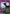 Toto (UEPR/KGR-1-027) - UE16BT KAGURABACHI Release Event Cards