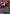 Genichi Sojo (010) (UEPR/KGR-1-010) - UE16BT KAGURABACHI Release Event Cards