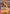 Mega Charizard Y ex (030/null) - Holofoil [ME Mega Evolution Promo] - ME: Mega Evolution Promo - Card Brawlers | Quebec | Canada |