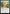 Together Forever (Surge Foil) (TMC-044) - Commander: Teenage Mutant Ninja Turtles Foil
