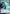 Lepi Lookout (Hyperspace) (302) - A Lawless Time - A Lawless Time - Card Brawlers | Quebec | Canada |