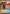 Jango Fett - Wily Mercenary (Hyperspace) (351) - A Lawless Time - A Lawless Time - Card Brawlers | Quebec | Canada |