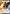 Lando Calrissian - Eyes Open (Hyperspace) (372) - A Lawless Time - A Lawless Time - Card Brawlers | Quebec | Canada |