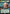Bib Fortuna - Die Wanna Wanga? (Hyperspace) (398) - A Lawless Time - A Lawless Time - Card Brawlers | Quebec | Canada |