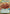 The Sarlacc of Carkoon - Horror of the Dune Sea (Hyperspace) (427) - A Lawless Time - A Lawless Time - Card Brawlers | Quebec | Canada |